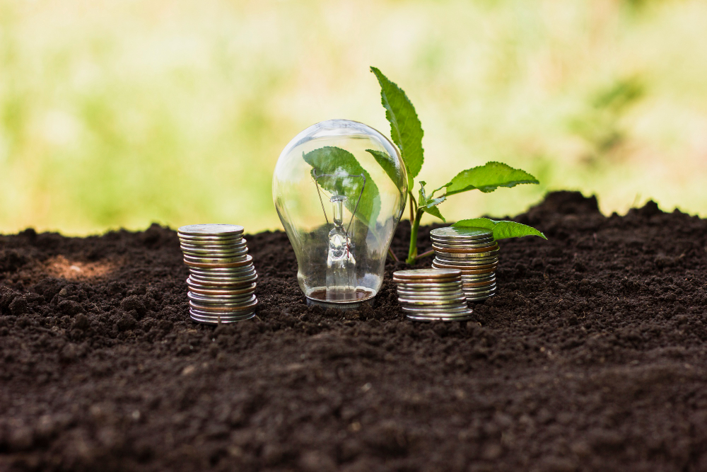 Financial Literacy
