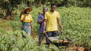 Agriculture Development